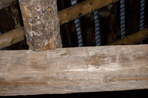 Hand-hewn beam inside the barn at Raquette Falls. This dates to at least 1890.